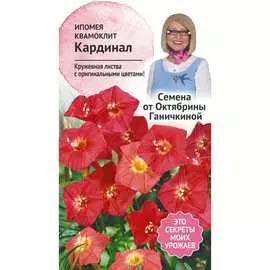 Ипомея семена ОКТЯБРИНА ГАНИЧКИНА
