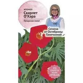 Ипомея семена ОКТЯБРИНА ГАНИЧКИНА