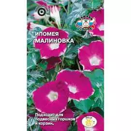 Ипомея семена СеДек