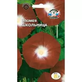 Ипомея семена СеДек