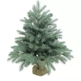 Искусственная ель BEATREES Blue Anson 1035906