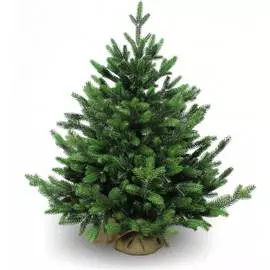 Искусственная ель BEATREES