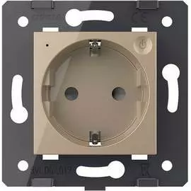 Электрическая розетка LIVOLO