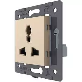 Электрическая универсальная розетка LIVOLO VL-FCT22 16A-2AP