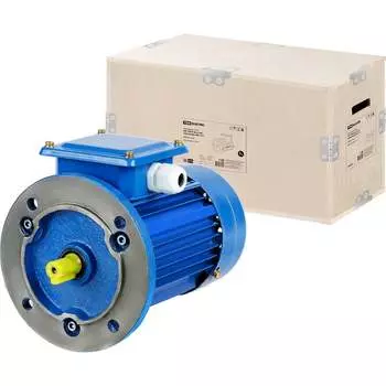 Электро двигатель TDM АИР 100L6 SQ3001-0130