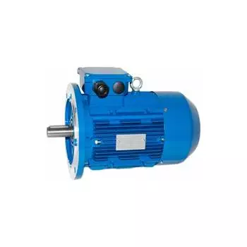 Электродвигатель 5АИ 100 L6 2.2/1000 IM 3081 01.01.213621