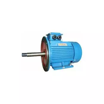 Электродвигатель 5АИ 180 М2Ж 30/3000 IM 2009 01.01.213465