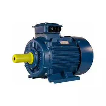 Электродвигатель 5АИ 200 L2 45/3000 IM 1001 01.01.213642