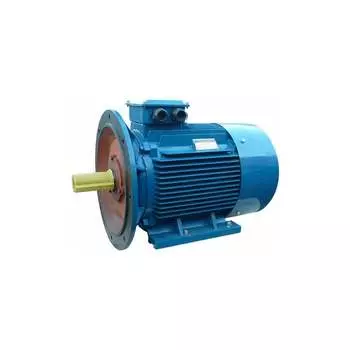 Электродвигатель 5АИ 225 М2 55/3000 IM 2001 01.01.213660