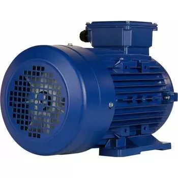 Электродвигатель 5АИ 100 L6 2.2/1000 IM 1081 01.01.213619