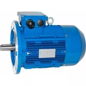 Электродвигатель 5АИ 100 L2 5.5/3000 IM 3081 01.01.213679