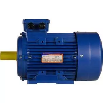 Электродвигатель 5АИ 100 S2 4/3000 IM 1081 01.01.213555