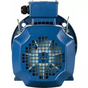 Электродвигатель 5АИ 100 S2Ж 4/3000 IM 2081 01.01.216694