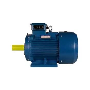 Электродвигатель 5АИ 315 S4 160/1500 IM 1001 01.01.213490