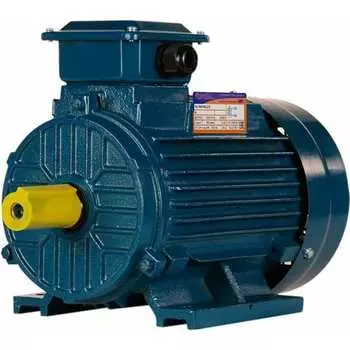 Электродвигатель 5АИ 100 L8 1.5/750 IM 1081 01.01.213553