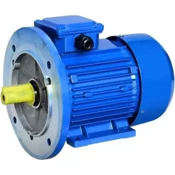 Электродвигатель 5АИ 71 А4 0.55/1500 IM 3081 01.01.213566