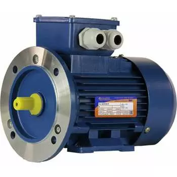 Электродвигатель 5АИ 56 В2 0.25/3000 IM 2081 01.01.213515