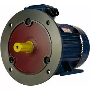 Электродвигатель 5АИ 132 М8 5.5/750 IM 2081 01.01.213747