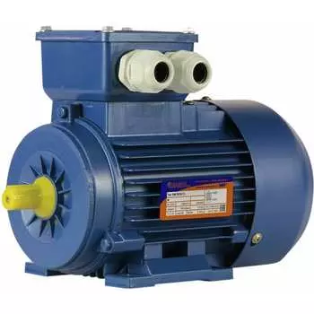 Электродвигатель 5АИ 56 А2 0.18/3000 IM 1081 01.01.213508