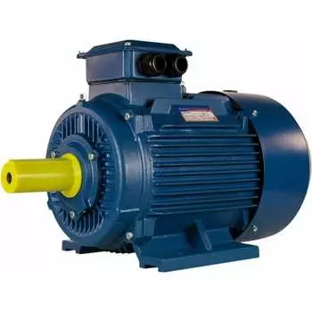 Электродвигатель 5АИ 180 S2 22/3000 IM 1001 01.01.213693