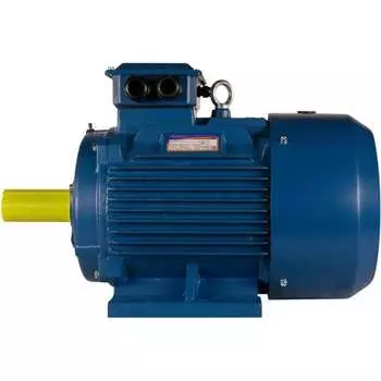 Электродвигатель 5АИ 355 М4 315/1500 IM 1001 01.01.213488