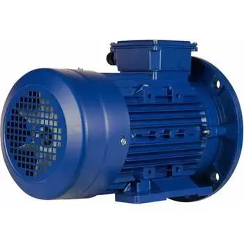 Электродвигатель 5АИ 100 L2Ж 5.5/3000 IM 2081 01.01.216693