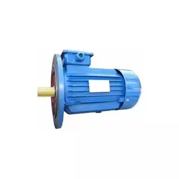 Электродвигатель 5АИ 90 L2 3/3000 IM 3081 01.01.216439