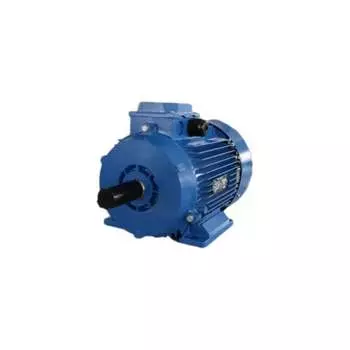 Электродвигатель АО МЭЗ УралЭлектро АДМ112М2-У2-220/380-50IM1081-Р.К.В АДМ112М2 1081