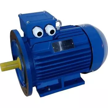 Электродвигатель ЭМШ AIS100L-6У1 Х0000044175