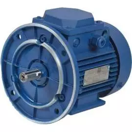 Электродвигатель МЭЗ У2-220/380-50IM1081-Р.К.В. К31Е-ААА IE1 Могилев АИР80В8 1081