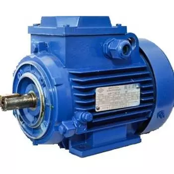 Электродвигатель МЭЗ АИРЕ100С4 2081