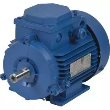 Электродвигатель МЭЗ 4ВР71В4 1081