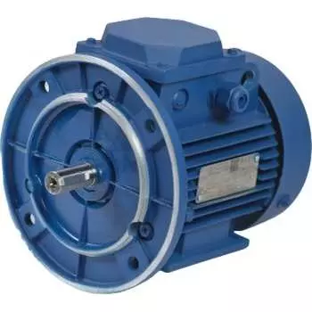 Электродвигатель МЭЗ АИР132S8 2081