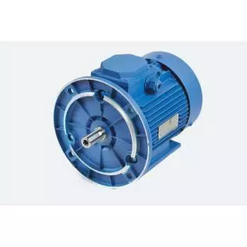 Электродвигатель МЭЗ АИР112МВ8 2081