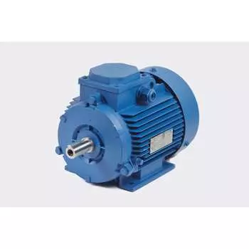 Электродвигатель МЭЗ У2-220/380-50IM1081К31Е-ААА IE1Могилев АИР63А2 1081