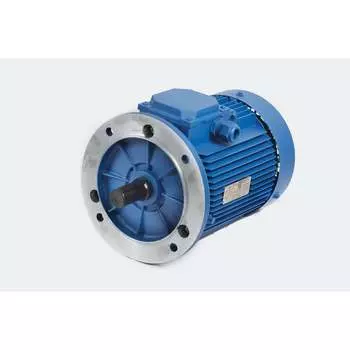 Электродвигатель МЭЗ АИР100L6 3081