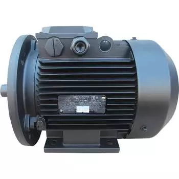 Электродвигатель МЭЗ АИРЕ56В2-У3-220-50IM2081К31Е 2081