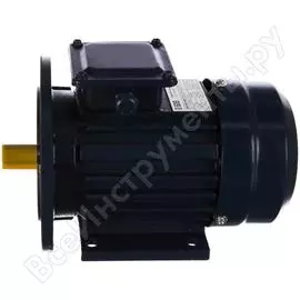 Электродвигатель ТМ БЭЗ