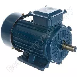 Электродвигатель ТМ БЭЗ