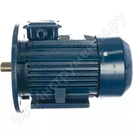Электродвигатель ТМ БЭЗ