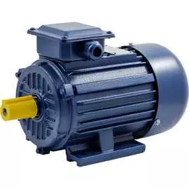 Электродвигатель ТМ БЭЗ АИP 100L6 IM1081 85169