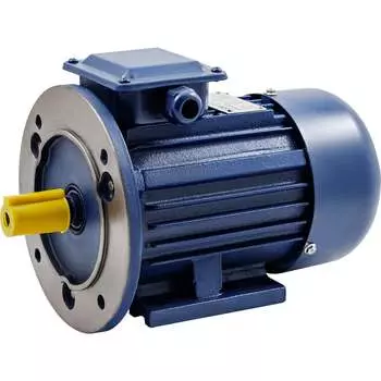 Электродвигатель ТМ БЭЗ АИP 100S2 IM2081 79083