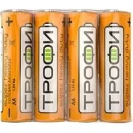 Элемент питания ТРОФИ