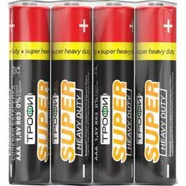 Элемент питания ТРОФИ C0033711