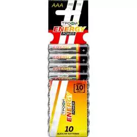 Элемент питания ТРОФИ Б0018948