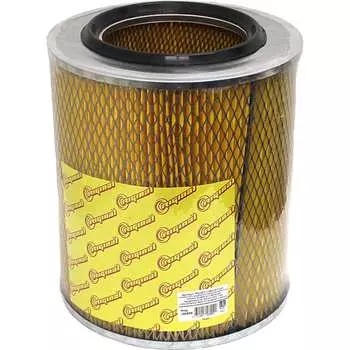 Элемент воздушного фильтра для а/м ГАЗ 3309/4301/6640/33104/ГАЗон NEXT Riginal RG4301-1109013-C320