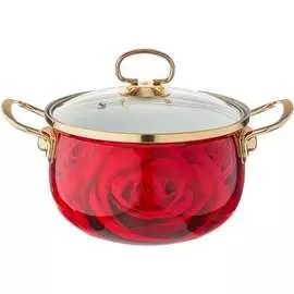 Эмалированная кастрюля Agness