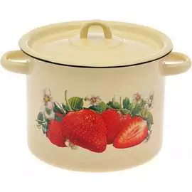 Эмалированная кастрюля СТАЛЬЭМАЛЬ