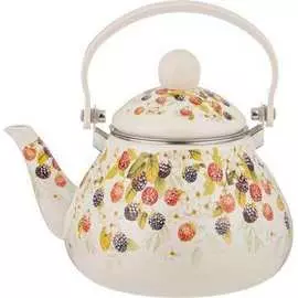 Эмалированный чайник Agness
