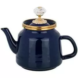 Эмалированный чайник Agness
